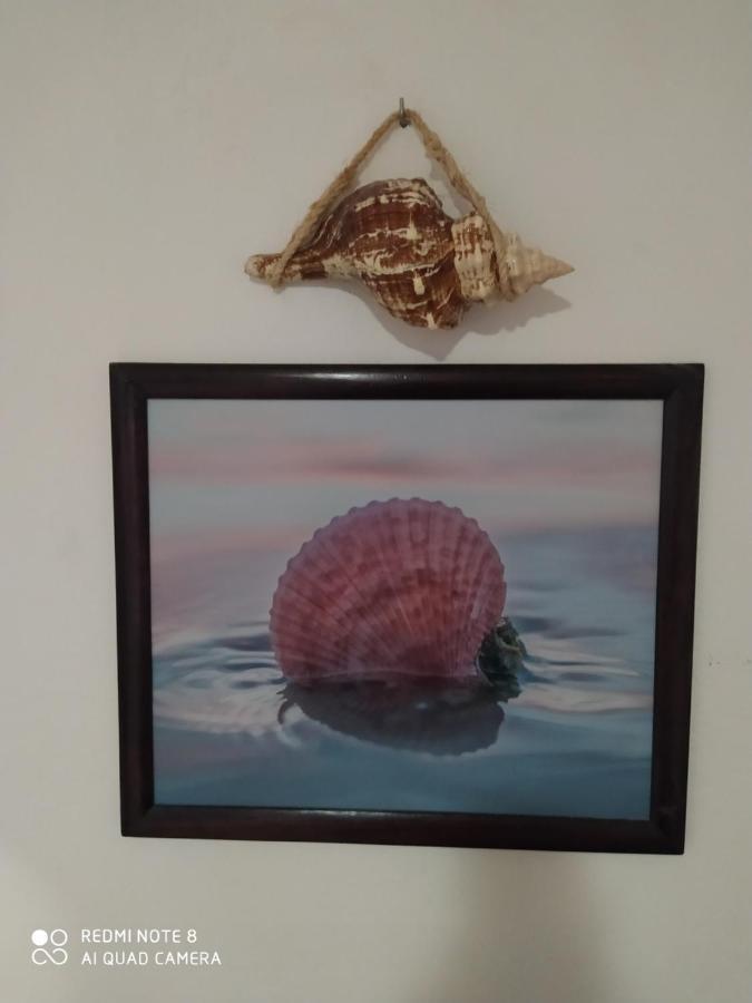Casa Ohana-Disfruta Del Paraiso Isla Holbox Zewnętrze zdjęcie