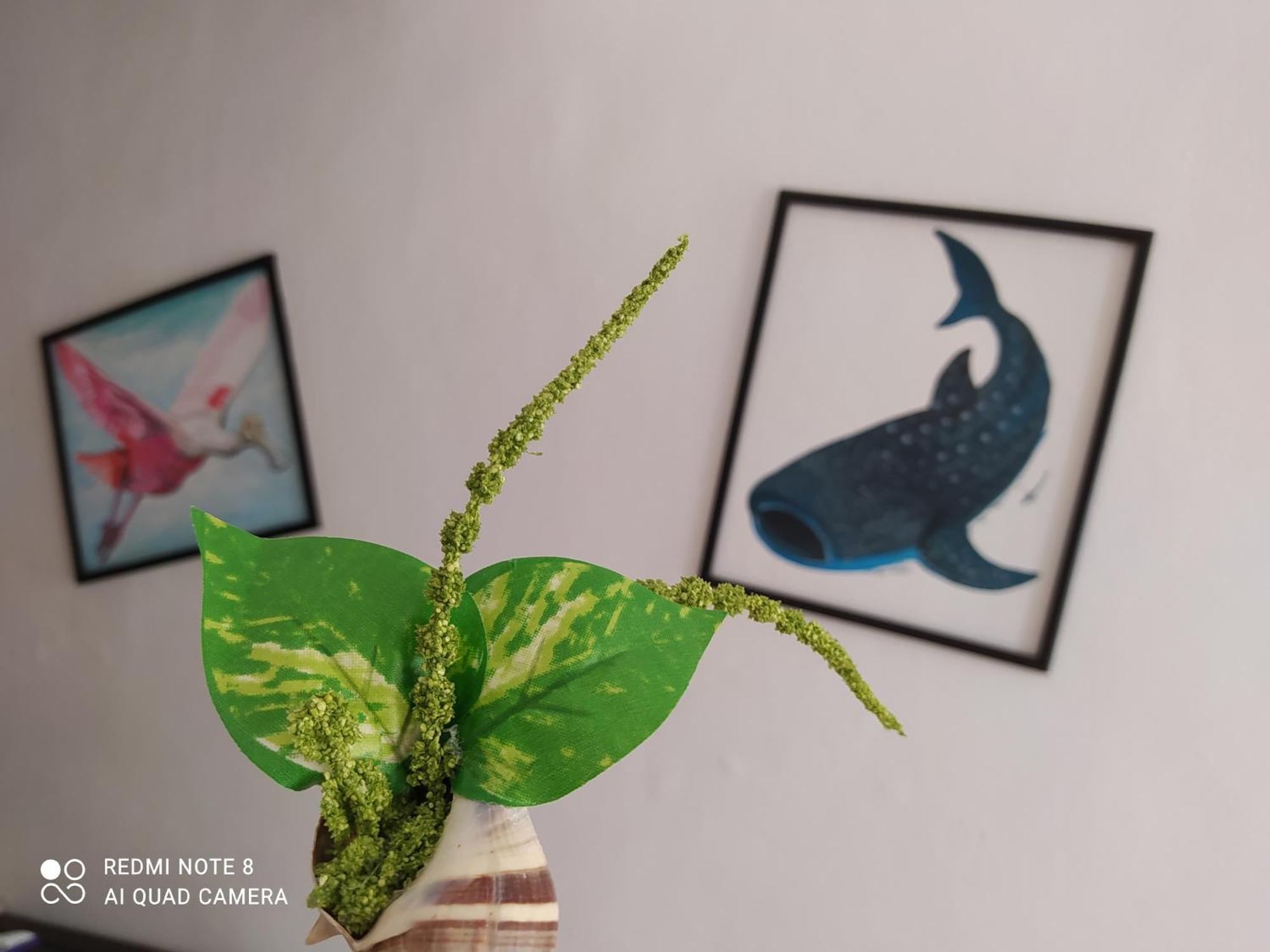 Casa Ohana-Disfruta Del Paraiso Isla Holbox Zewnętrze zdjęcie