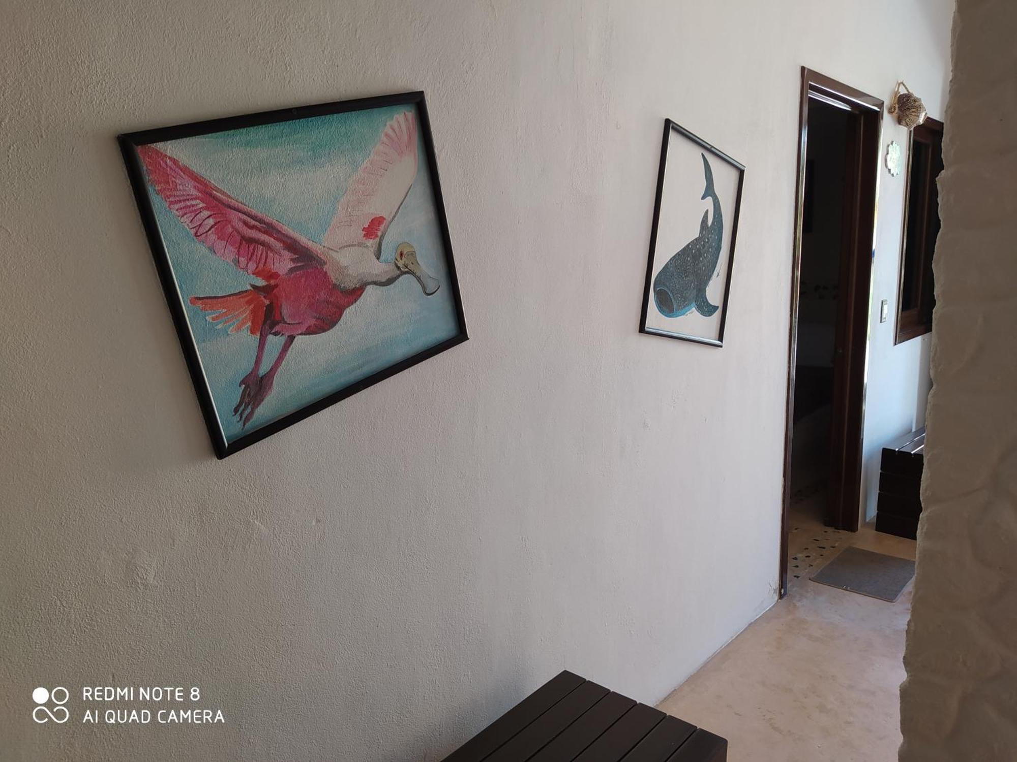 Casa Ohana-Disfruta Del Paraiso Isla Holbox Pokój zdjęcie